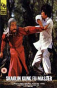 Shaolin Kung Fu Master