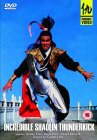 Incredible Shaolin Thunderkick