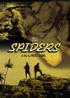 Spiders