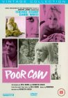 Poor Cow [1967]
