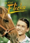 My Friend Flicka [1943]