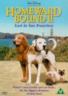 Homeward Bound 2 - Lost In San Francisco [1995]