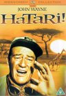 Hatari [1963]