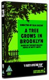 A Tree Grows In Brooklyn