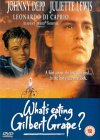 What's Eating Gilbert Grape [1993]