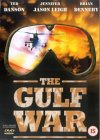 The Gulf War