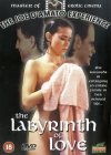 The Labyrinth Of Love [1995]