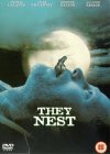 They Nest [2000]