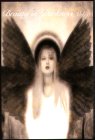Various Artists - Beauty in Darkness Volume 5