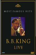B.B. King - Blade Blues Experiences