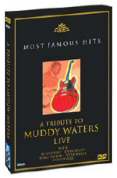 Various Artists - a Tribute to Muddy Waters