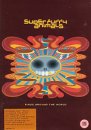 Super Furry Animals - Rings Around the World [2001]