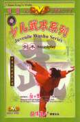 Juvenile Wushu - Sword Play