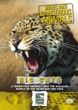 World's Most Dangerous Animals - Big Cats