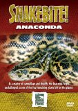 Snake Bite - Anaconda