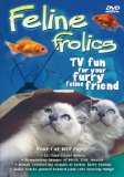 Feline Frolics - TV Fun For Your Furry Feline Friend