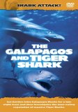 Shark Attack - The Galapagos And Tiger Shark