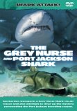 Shark Attack - The Grey Nurse And Port Jackson Shark