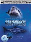 Search For The Great Sharks [1999]
