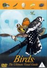 Birds - The Ultimate Visual Guide