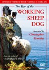 The Year Of The Working Sheep Dog [2000]