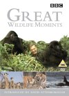Great Wildlife Moments Introduced by David Attenborough