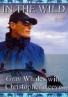 In The Wild - Grey Whales With Christopher Reeve [1995]