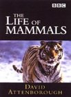 Life of Mammals [2003]