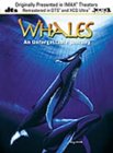 Whales - An Unforgettable Journey