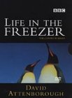 Life In The Freezer [1993]