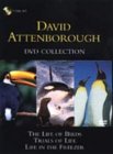 David Attenborough Collection -- Trials of Life, Life in the Freezer, Life of Birds [1990]
