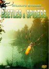 Whole Story, The: Beetles And Spiders [2001]
