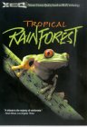 Tropical Rainforest