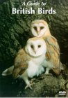 Guide To British Birds [2002]