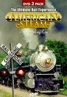 American Steam [1998]