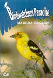 Birdwatchers Paradise - Madera Canyon