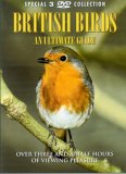 British Birds - An Ultimate Guide
