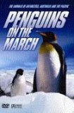 Penguins On The March