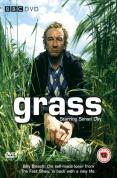 Grass
