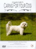 A Complete Guide To Caring For Your Dog - From A Puppy To Old Age