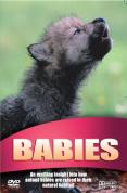 Wildlife - Babies