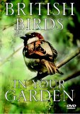 British Birds In Your Garden