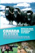 Wildlife - Canada / Alaska / Scandinavia