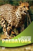 Wildlife - Predators