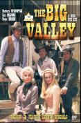 The Big Valley