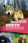Wildlife - Secret Animals Of North America