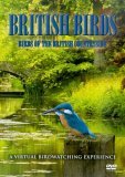 British Birds - Birds Of The British Countryside