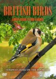 British Birds - Urban Birds In The Garden