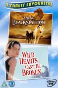 Young Black Stallion / Wild Hearts Can't Be Broken
