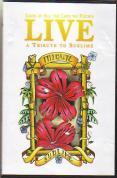 Sublime - Look At All The Love We Found - A tribute To Sublime